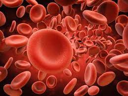 Maybe you would like to learn more about one of these? Anemia Treatments May Arise From Red Blood Cell Discovery