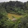 Perú se suma a alianza internacional para reforzar la protección de la Amazonía y frenar la deforestación hacia 2030