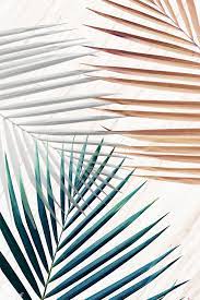 Find green aesthetic wallpapers hd for desktop computer. Green And Brown Wallpapers Top Free Green And Brown Backgrounds Wallpaperaccess