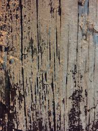Browse our variety of interior paint—all the supplies needed for any paint job. Close Up Of Old Wood With White Paint Chipping Off Free Textures