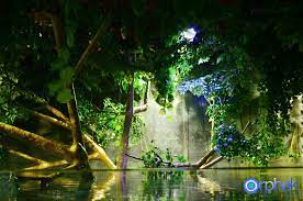 Led Lighting Amazon Flooded Forest 2 Led Aquarium Lighting Public Aquarium Led Light Projects