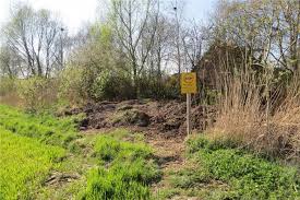 Arger Um Illegal Abgeladene Gartenabfalle In Wre