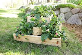 A collection of backyard retaining wall ideas and terraced gardens. Make A Sleek Tiered Strawberry Planter Better Homes Gardens