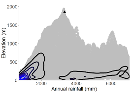 Image result for Strephonema