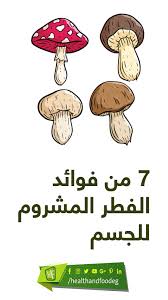 هل تعلم أنه من ضمن فوائد الفطر المشروم للجسم إنه يمنع الكلى من تكوين الحصوات بداخلها على المدى الطويل إذا أردت الوصول إلى سر فوائد الفطر المشروم Peanuts Comics