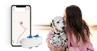 Pets without partners web site at rescuegroups. Tractive No 1 Gps Tracker For Cats And Dogs Worldwide Tractive
