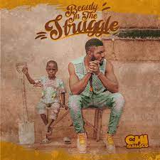 Electronic drums and samples are the primary instruments in this track. Beauty In The Struggle Album By Chi Fabiasco Spotify