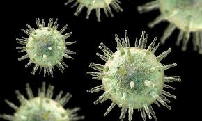 Most people are infected by the virus as children, when the disease produces few or no symptoms. Mononucleosi Segni E Sintomi Diagnosi E Cura Della Malattia Del Bacio Assocarenews It Quotidiano Sanitario Nazionale