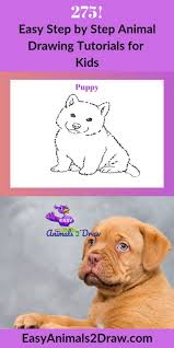 How To Draw A Puppy Step By Step Easy Animals 2 Draw In 2020 Easy Animals Drawing Tutorials For Kids Animal Drawings
