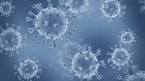 Transport anglia scotia colete va mulțumim ca ati ales servicile noastre! Noua TulpinÄƒ De Coronavirus Din Marea Britanie Ce Se È™tie PanÄƒ Acum