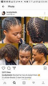Black Hair Websites Black Hairstyles Haircuts Bouffant Ponytail 20190305 Hair Styles Locs Hairstyles Natural Hair Styles Easy