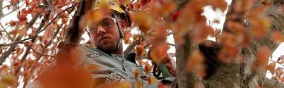 To be eligible for the isa certified arborist exam, you must have one or both of the following: Massachusetts Arborists Association Home Page