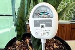 The 8 Best Soil Moisture Meters The Spruce Has Tested