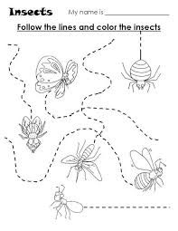 Animal Trace Worksheets For Kids Crafts And Worksheets For Preschool Toddler And Kin In 2020 Kindergarten Worksheets Printable Insects Preschool Preschool Worksheets