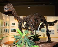 A worker stands on a ladder near the cast's back leg, another. Titanosaur Simple English Wikipedia The Free Encyclopedia