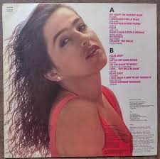 Lp Novela Felicidade Internacional 1992 (impecável) Vinil