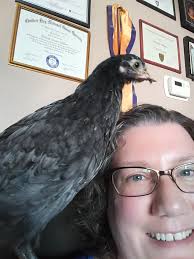 My handsome guy Bullet and sweet gal Opal living their best life ♥️