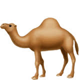 His last drink had been weeks ago. Camel Emoji Meaning In Texting Copy Paste