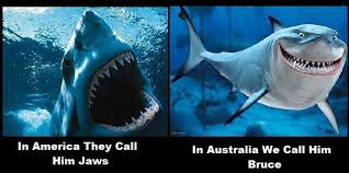 Hahaha Hello Bruce Funny Aussie Australian Memes Australia Funny