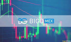 Amazon capitalized on the rise of the internet and grew massively. Bigomex Cryptocurrency Trading Made Easy