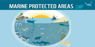 Although this deal does not apply to the total ross sea area, the fishing industry will depart from the most vital habitat close to the coastline. Top 10 Largest Marine Protected Area