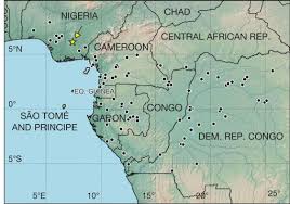 Image result for Combretum falcatum