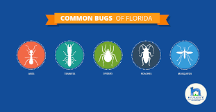 While diy pest control has many advantages, it also has its disadvantages. Common Bugs Of Florida Hulett Environmental Services