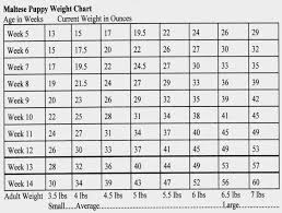 Chart Puppy Growth Chart Golden Retriever Puppy Weight Kg