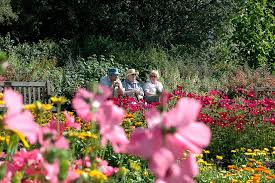 Cwmdonkin Park Swansea Botanical Gardens Wales Holiday Botanical