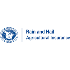 The culture is really great, the people and management are really great and supportive. Rain And Hail Agriculture Insurance Download Logo Icon Png Svg
