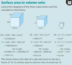 Feb 19, 2021 · surface area to volume ratio can be found easily for several simple shapes, like for example a cube or a sphere. Surface Area Socratic