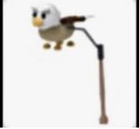 29 july, 2019 at 18:32. Griffin Propeller Adopt Me Wiki Fandom