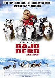 Bajo Cero 2006 Dog Movies Winter Movies Paul Walker Movies