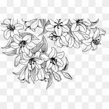 Flower Overlay Transparent Flower Drawing Tumblr Transparent Hd Png Download Flower Drawing Tumblr Overlays Transparent Transparent Flowers