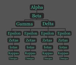 Wolf Pack Hierarchy Google Search Werewolf Wolf Pack Wolf