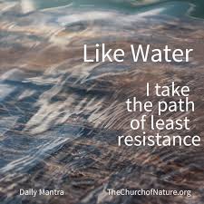 The mind has the propensity to excel along the path of least resistance thereby ostracising other equally important concepts it is this lack of restrictions of the mind that separates. Like Water I Take The Path Of Least Resistance Daily Mantra Daily Mantra Mantras Tumblr Quotes