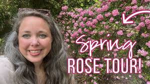 Spring Rose Tour including Peggy Martin Climbing Rose, David Austin Roses  and Knockout's! (Zone 9b)