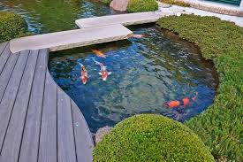Users like to chat and dress up their avatars, decorate their rooms, chat about their interests, listen to music, and have fun!! Koiteich Koi Japanischergarten Wasserspiel Garten Hinterhof Teich Koiteich