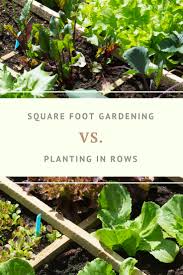With these tips you can plant zucchini vertically at 1 square foot per plant. Do Reasons To Plant In Rows Outweigh Pros Of Square Foot Gardening