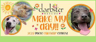 Maybe you would like to learn more about one of these? Darbster Rescue Darbster Doggy Darbster Kitty