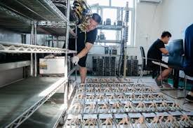 But this is a gray area in china, and so this mining farm is hidden inside an industrial site. Photos China Has One Of World S Largest Bitcoin Mines Quartz