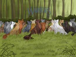 Art cat blue eyed test1 art wallpaper lockscreen mobile android ios. Cats Of Thunderclan By Blaukralle On Deviantart Warrior Cats Warrior Cats Books Warrior Cats Fan Art