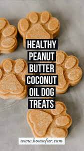 Healthy Homemade Peanut Butter Coconut Oil Dog Treats Recipe Easy Dog Treat Recipes Healthy Dog Treats Homemade Dog Treats Homemade Recipes