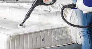 Finding creepy crawlies, rodents and snakes hanging round your house is never a fun experience. Eliminate Bed Bugs With Steam Cleaners Sylvane