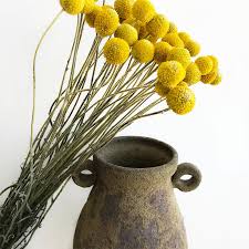 We're using cookies to give you the best experience on our website and meet our marketing goals. China Amazon Top Seller Decoration Dried Flowers White Brown Pampas Grass China Dried Flowers And Weddings Decoration Price