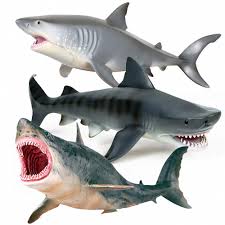 These sharks were believed to hunt other smaller sharks and giant turtles as well as marine mammals such as whales and dolphins. 6pcs Real Shark Model Marine Wildlife Megalodon Whale Shark Great White Shark Pvc Figure Model Marine Animal Education Toy Buy At The Price Of 8 32 In Aliexpress Com Imall Com