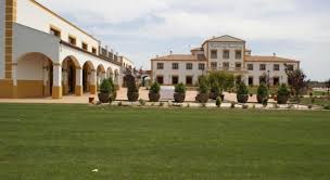 We did not find results for: Hotel Cortijo Santa Cruz Vegas Altas