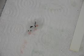 They cover the seed under the ground. Seedlings