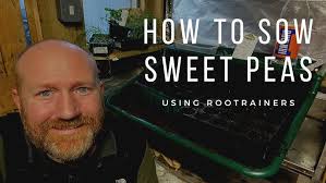 Rapid & Deep Rootrainers