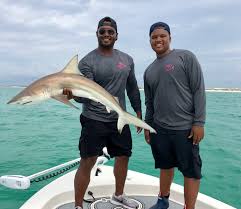 Maybe you would like to learn more about one of these? Shark Fishing In Destin Florida Environmental Impact